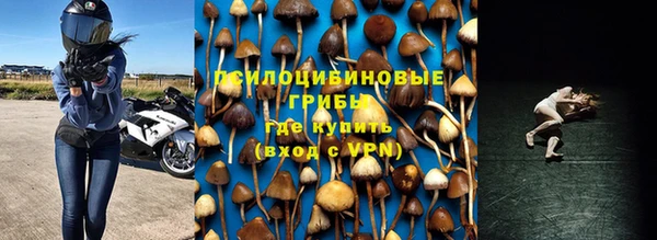 молекула духа Майский