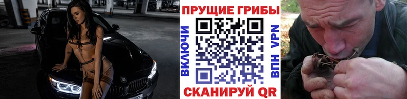 Галлюциногенные грибы GOLDEN TEACHER  Купить  Каргат 